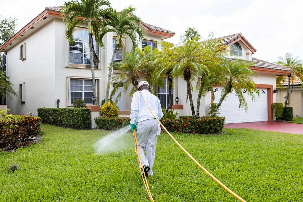 Spraying Lawn For Pests